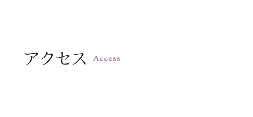 access_main_text