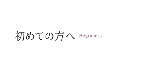 beginner_main_text